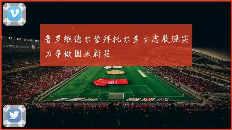 普罗维德尔崇拜托尔多立志展现实力争做国米新星